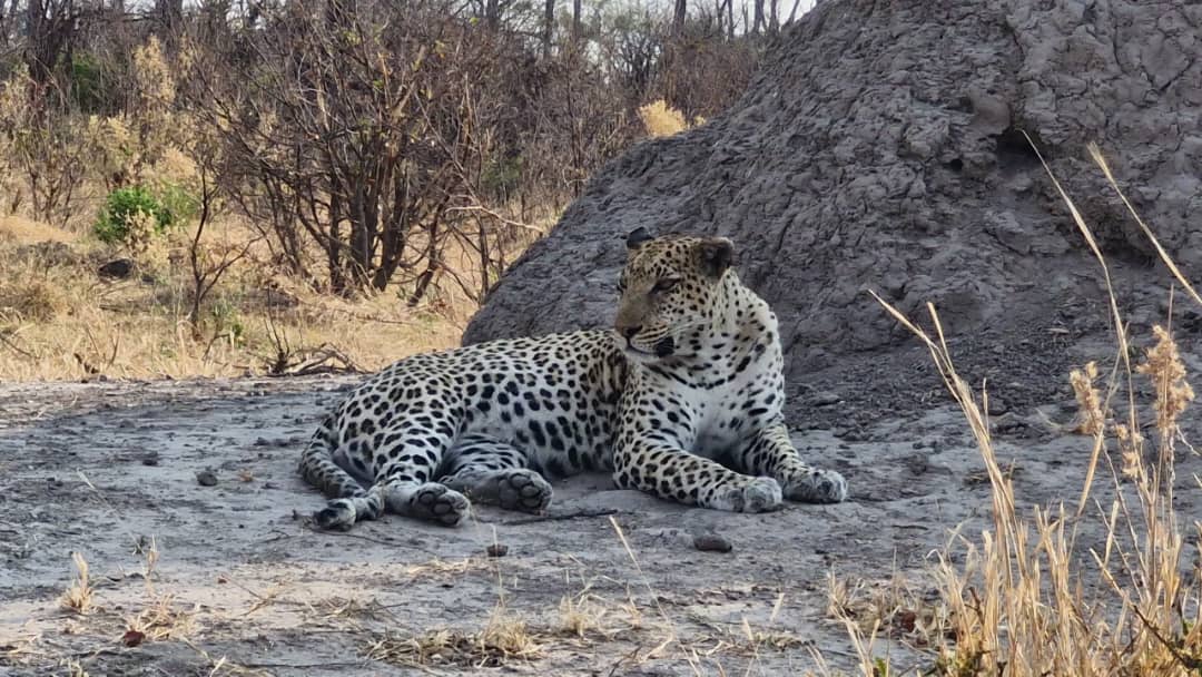 Etosha National Park