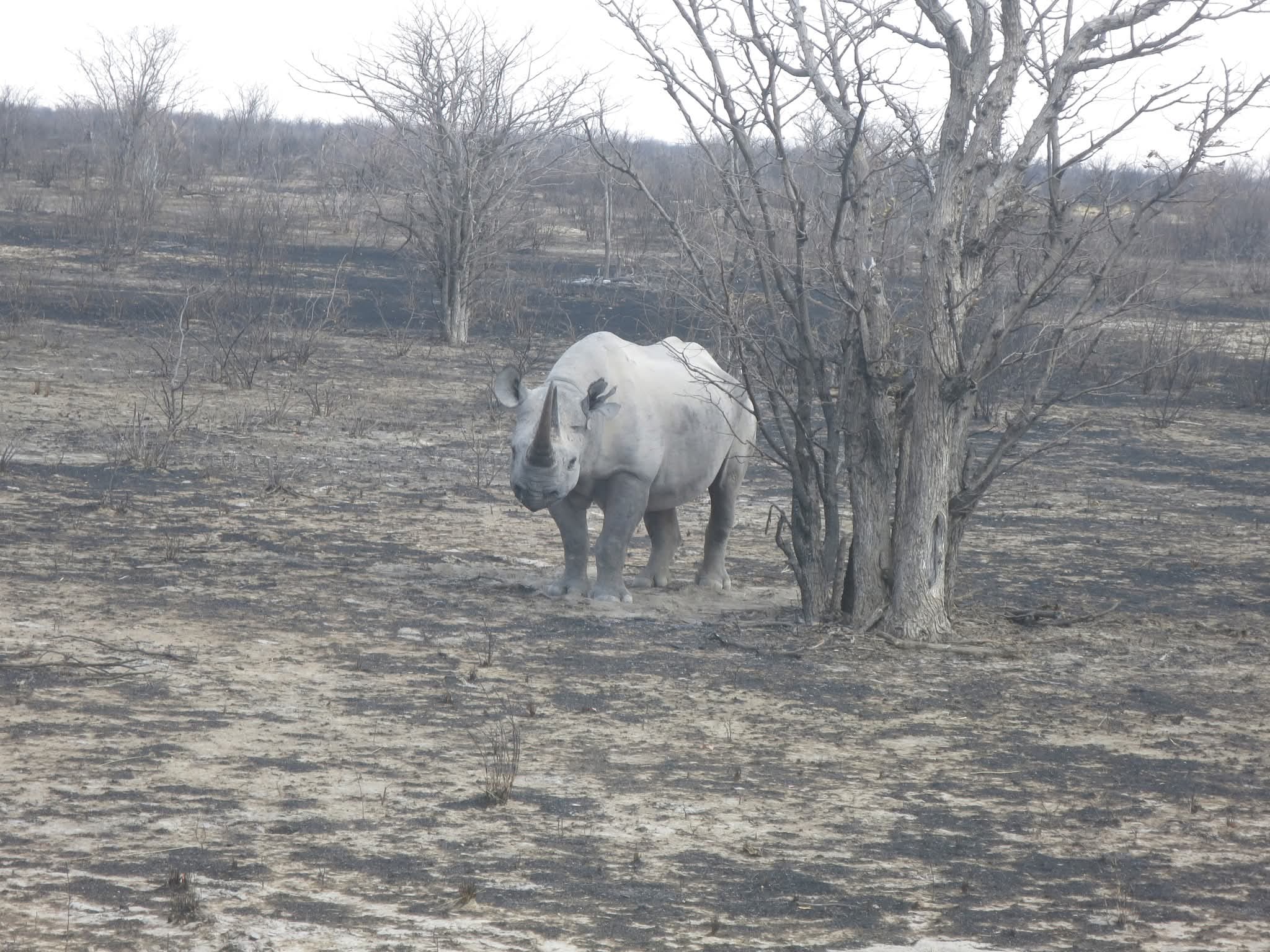Etosha National Park