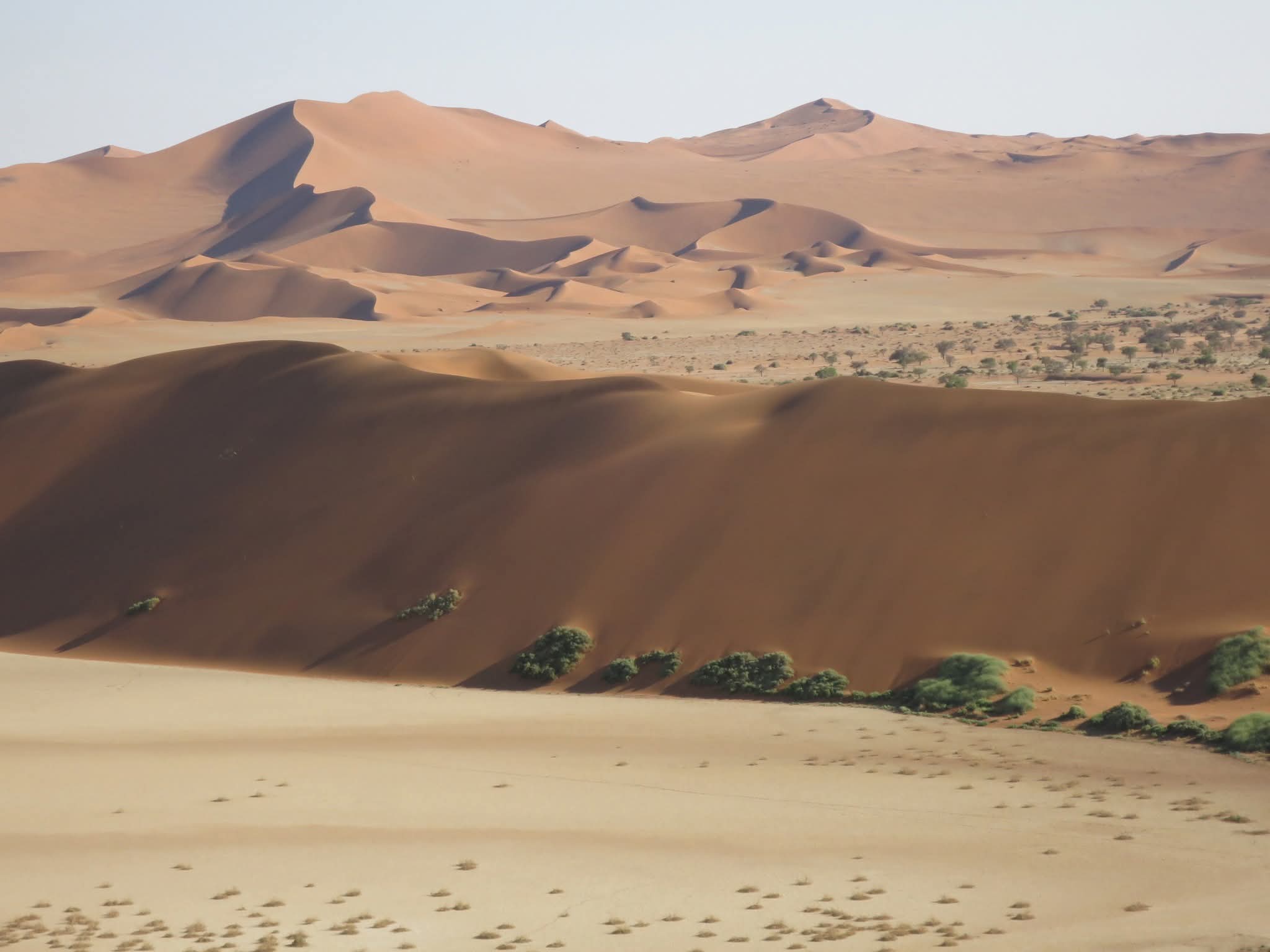Sossusvlei Dunes